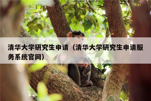 清华大学研究生申请（清华大学研究生申请服务系统官网）