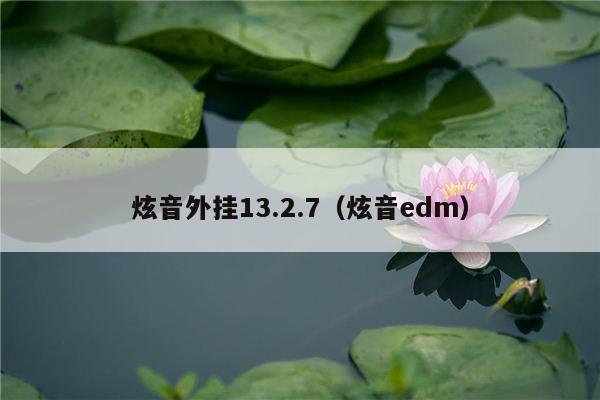 炫音外挂13.2.7（炫音edm）