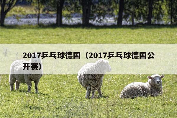 2017乒乓球德国（2017乒乓球德国公开赛）