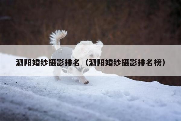 泗阳婚纱摄影排名（泗阳婚纱摄影排名榜）