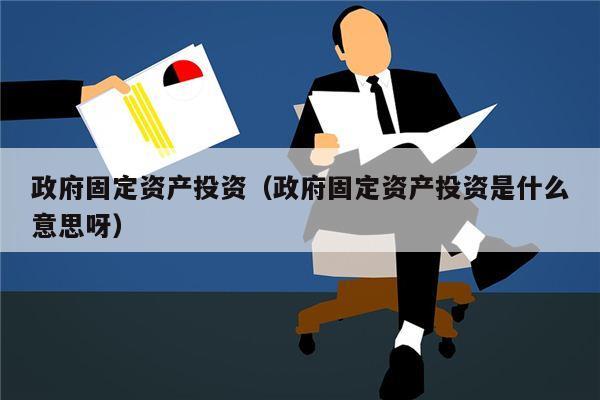 政府固定资产投资（政府固定资产投资是什么意思呀）