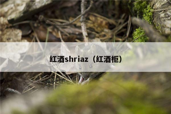 红酒shriaz（红酒柜）