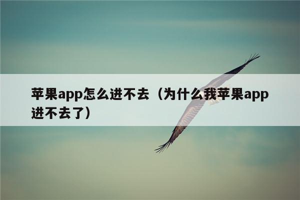 苹果app怎么进不去（为什么我苹果app进不去了）