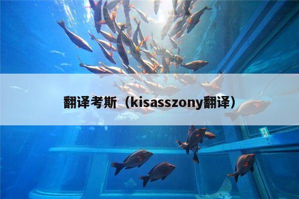 翻译考斯（kisasszony翻译）