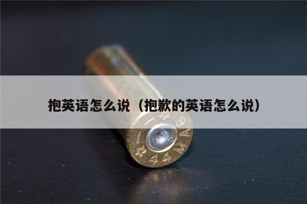 抱英语怎么说（抱歉的英语怎么说）