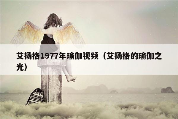 艾扬格1977年瑜伽视频（艾扬格的瑜伽之光）