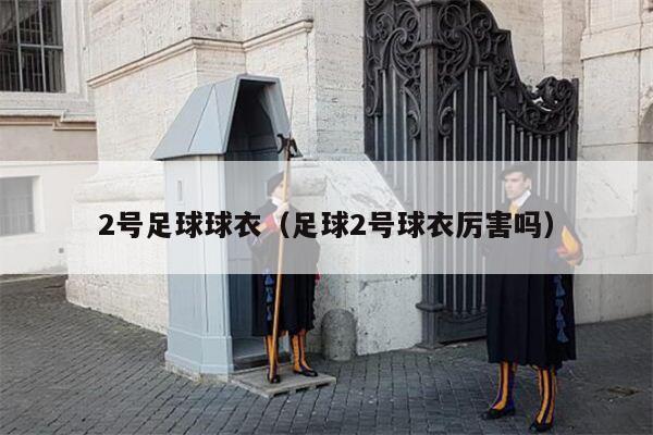2号足球球衣（足球2号球衣厉害吗）