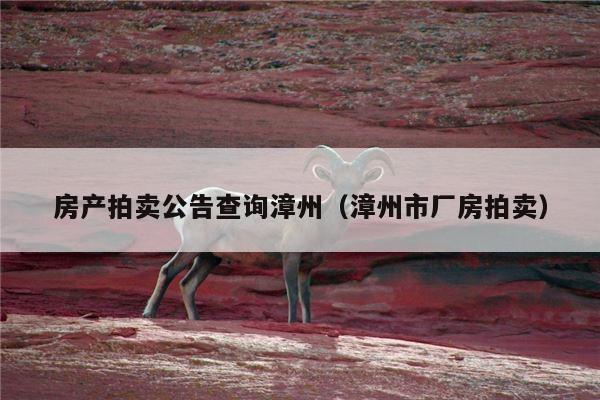 房产拍卖公告查询漳州（漳州市厂房拍卖）