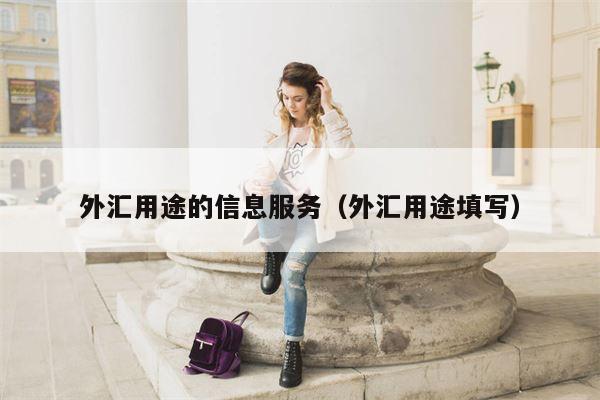 外汇用途的信息服务（外汇用途填写）