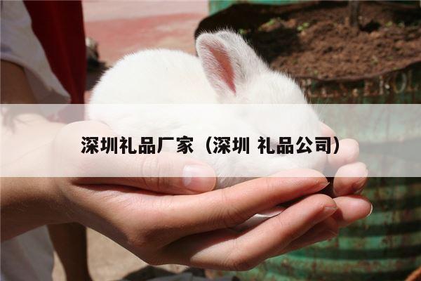 深圳礼品厂家（深圳 礼品公司）