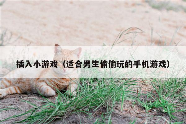 插入小游戏（适合男生偷偷玩的手机游戏）