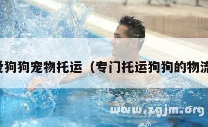 爱狗狗宠物托运（专门托运狗狗的物流）