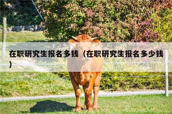 在职研究生报名多钱（在职研究生报名多少钱）