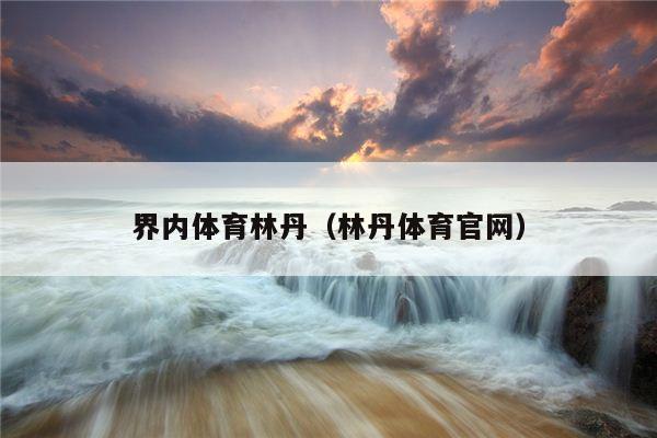 界内体育林丹（林丹体育官网）