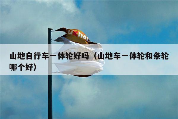 山地自行车一体轮好吗（山地车一体轮和条轮哪个好）