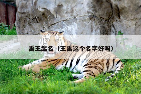 禹王起名（王禹这个名字好吗）
