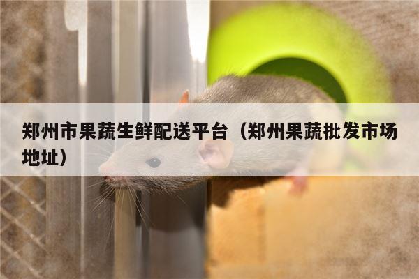 郑州市果蔬生鲜配送平台（郑州果蔬批发市场地址）