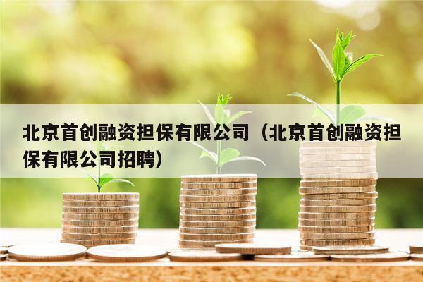 北京首创融资担保有限公司（北京首创融资担保有限公司招聘）