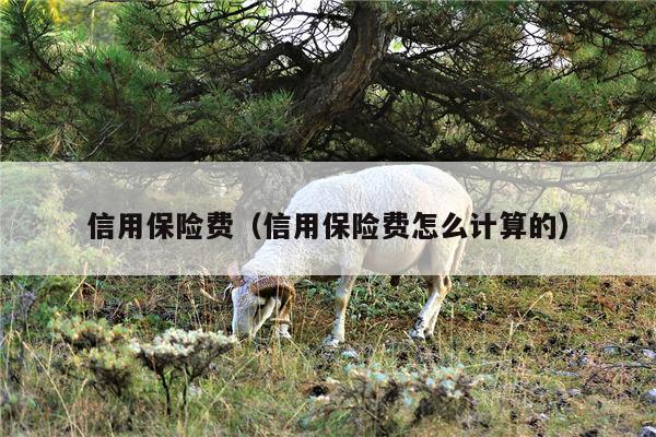 信用保险费（信用保险费怎么计算的）