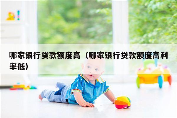 哪家银行贷款额度高（哪家银行贷款额度高利率低）