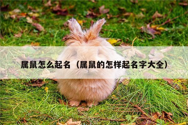 属鼠怎么起名（属鼠的怎样起名字大全）
