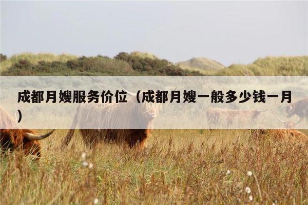成都月嫂服务价位（成都月嫂一般多少钱一月）