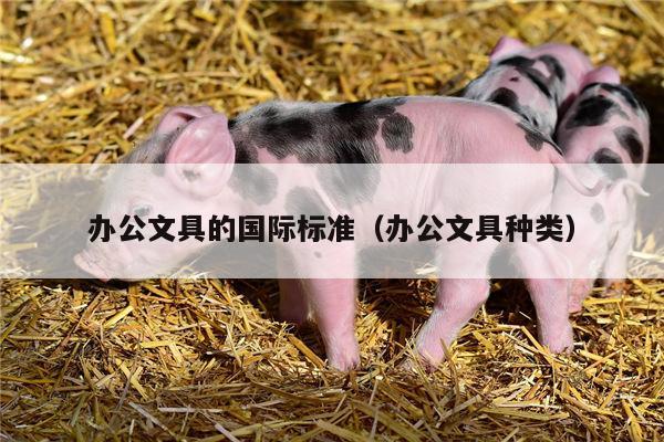 办公文具的国际标准（办公文具种类）