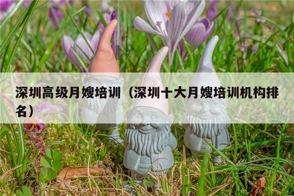 深圳高级月嫂培训（深圳十大月嫂培训机构排名）