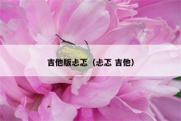 吉他版忐忑（忐忑 吉他）