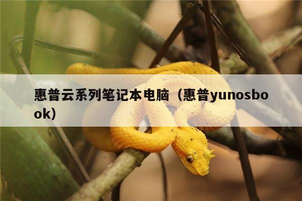 惠普云系列笔记本电脑（惠普yunosbook）