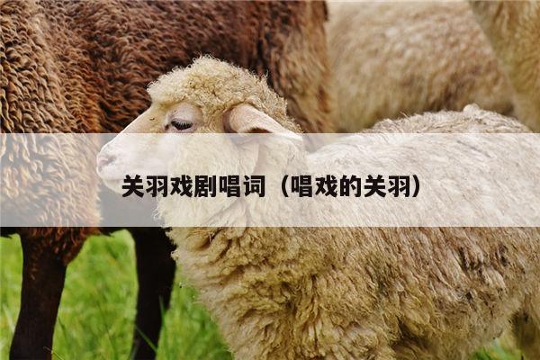 关羽戏剧唱词（唱戏的关羽）