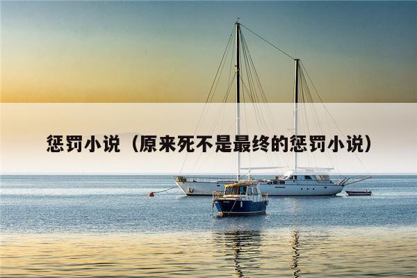 惩罚小说（原来死不是最终的惩罚小说）