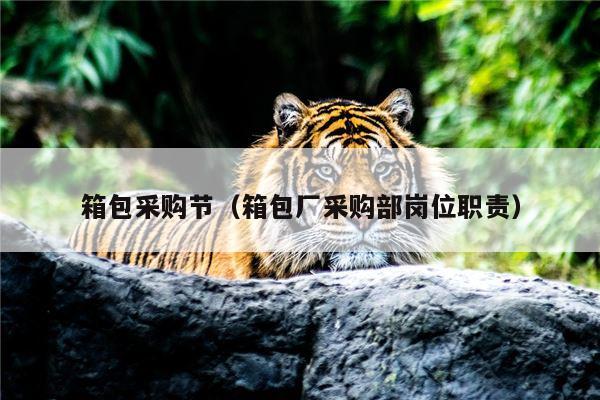 箱包采购节（箱包厂采购部岗位职责）