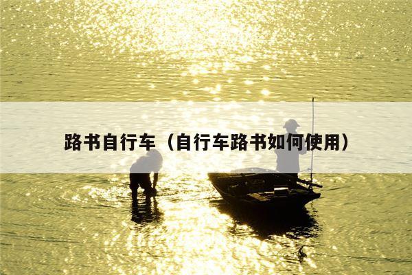 路书自行车（自行车路书如何使用）