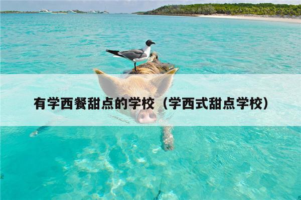 有学西餐甜点的学校（学西式甜点学校）