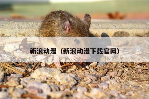 新浪动漫（新浪动漫下载官网）