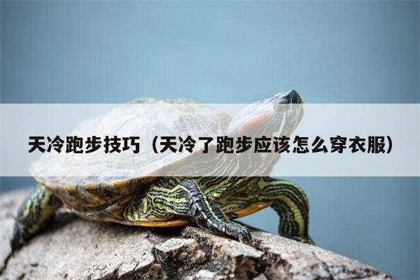 天冷跑步技巧（天冷了跑步应该怎么穿衣服）