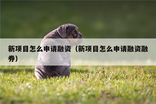 新项目怎么申请融资（新项目怎么申请融资融券）
