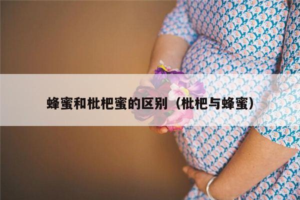 蜂蜜和枇杷蜜的区别（枇杷与蜂蜜）