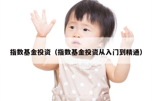 指数基金投资（指数基金投资从入门到精通）