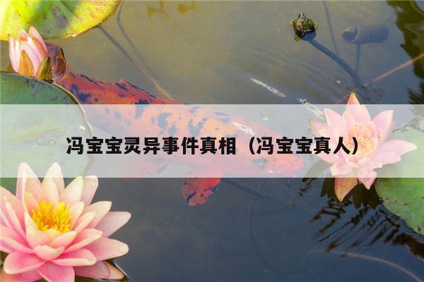 冯宝宝灵异事件真相（冯宝宝真人）