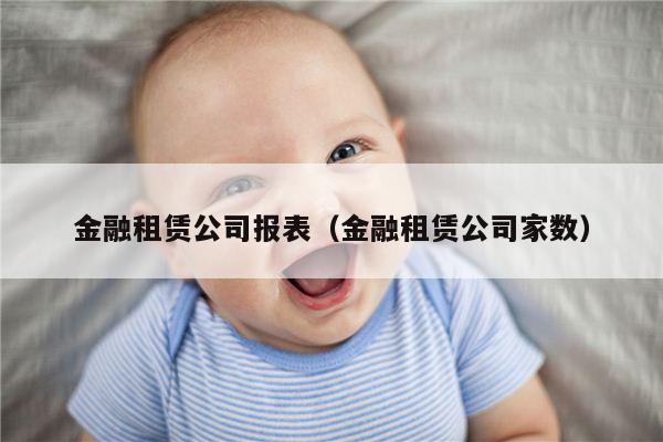 金融租赁公司报表（金融租赁公司家数）