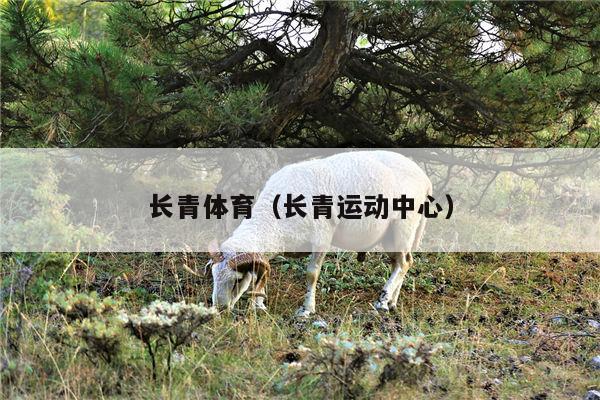 长青体育（长青运动中心）