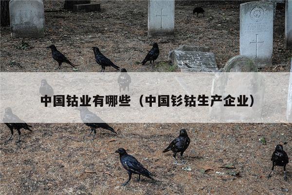 中国钴业有哪些（中国钐钴生产企业）