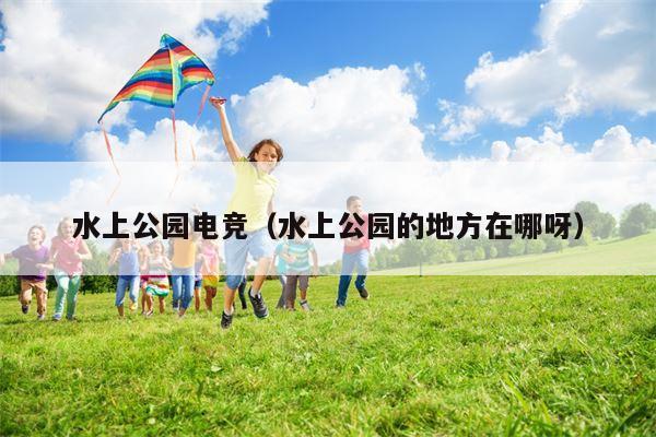 水上公园电竞（水上公园的地方在哪呀）