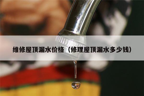 维修屋顶漏水价格（修理屋顶漏水多少钱）