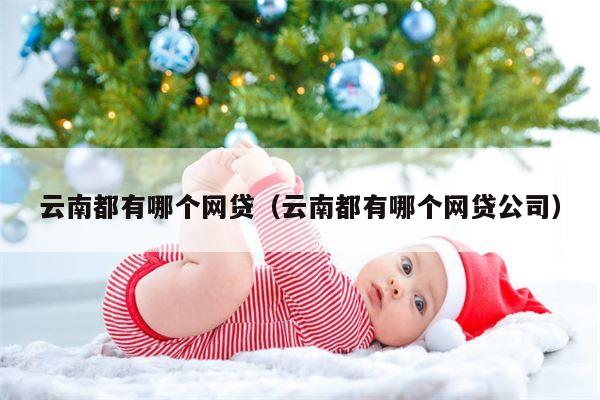 云南都有哪个网贷（云南都有哪个网贷公司）