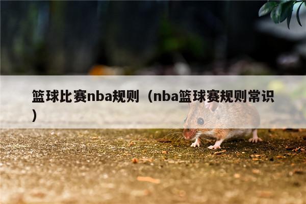 篮球比赛nba规则（nba篮球赛规则常识）