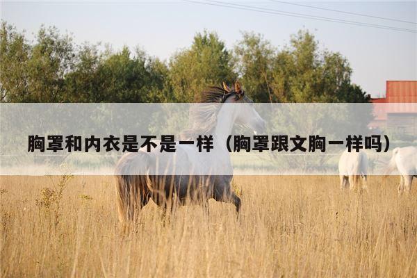 胸罩和内衣是不是一样（胸罩跟文胸一样吗）