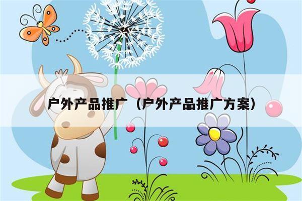 户外产品推广（户外产品推广方案）